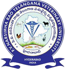 university logo image